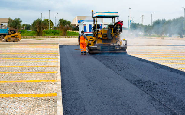Best Cobblestone Driveway Pavers  in Willow Oak, FL