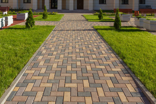 Reasons to Select Us for Your Driveway Paving Requirements in Willow Oak, FL
